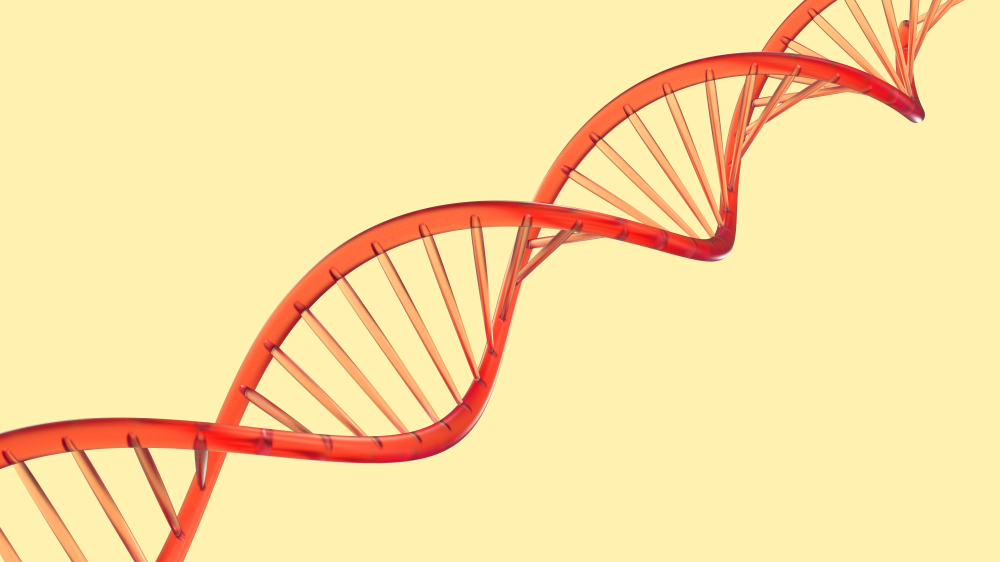 An overview of Klinefelter Syndrome